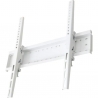 Тримач Charmount TV04T White