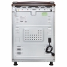 Плита ELEYUS CAST 6001 CF BR