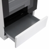 Плита ELEYUS IMPULS 6008 V WH