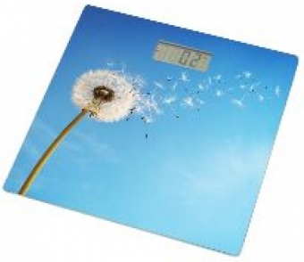 Grunhelm BES BLB blue