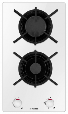 Hansa BHKW 310300