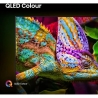 Телевизор Hisense 55E7Q PRO