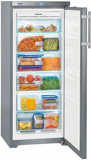 Морозильная камера Liebherr GNsl 2323