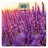 Scarlett SC BS 33 E 047