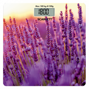 Scarlett SC BS 33 E 047