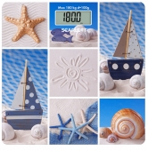 Scarlett SC BS 33 E 078