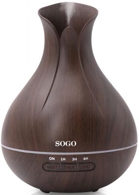 Sogo  AIR-SS-21721