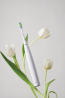 Зубная щетка Oclean Air2 White