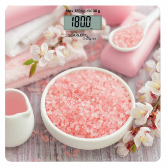 Scarlett SC BS 33 E 062