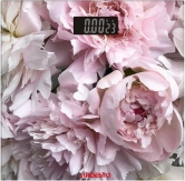 Ardesto  SCB 965 PEONIES