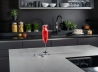 Блендер Bamix Prime М250 Red (1022.022)