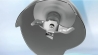 Блендер Bosch MSM4B624