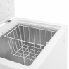 Морозильный ларь ELEYUS HFD085M WH100