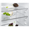 Холодильник Electrolux LTB 1AF28 W0
