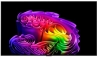 Телевизор LG OLED65G64LW