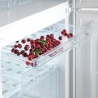 Холодильник Snaige RF 32 SMS10021