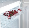 Холодильник Snaige RF 56 SMS5RP21