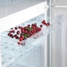 Холодильник Snaige RF 57 SMS5JJ210