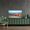 Телевизор Thomson 50QG7C14